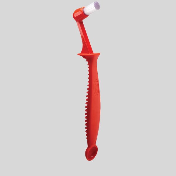 Cleaning brush